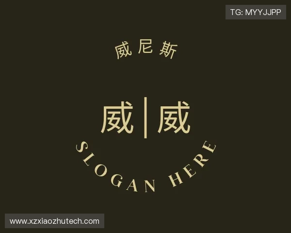 解读wnsr威尼斯网页下载
